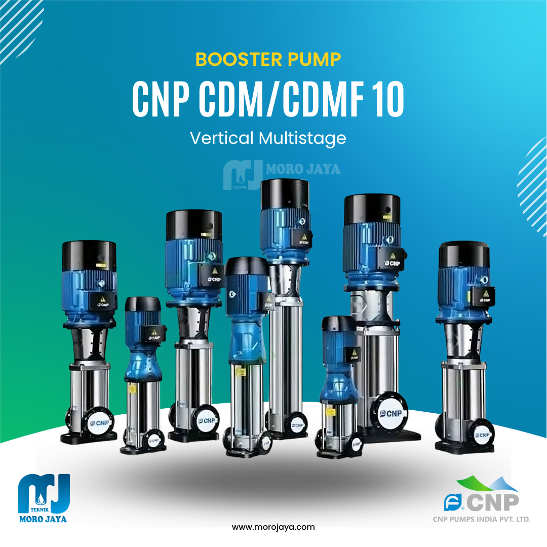 CNP CDMF 10