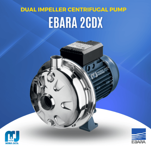 Ebara 2CDX