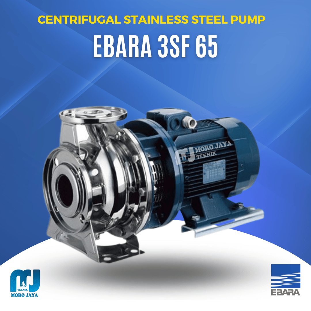 Ebara 3SF 65